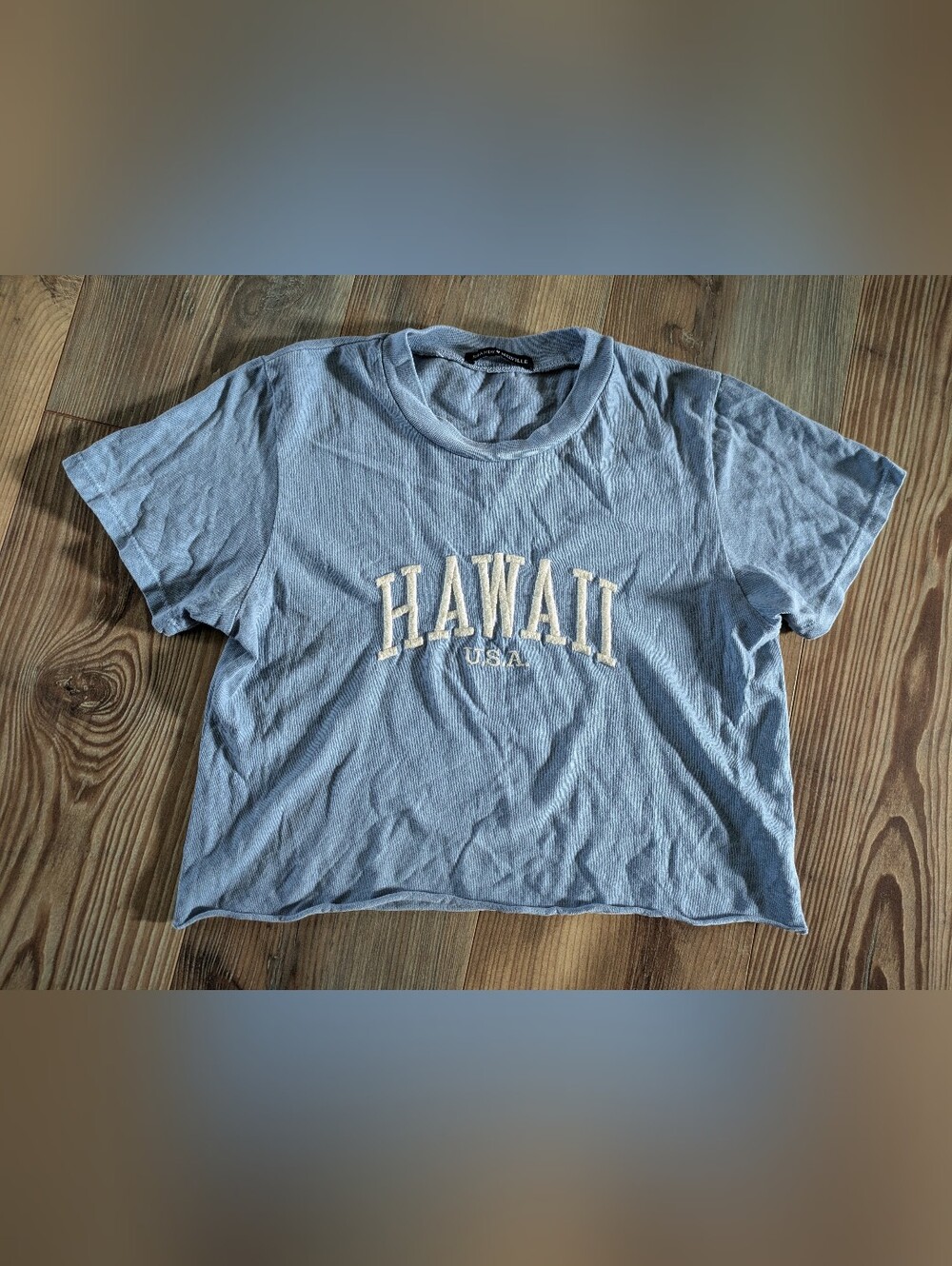 Brandy Melville Light Blue Hawaii Embroidered Short Sleeve Cropped T-Shirt